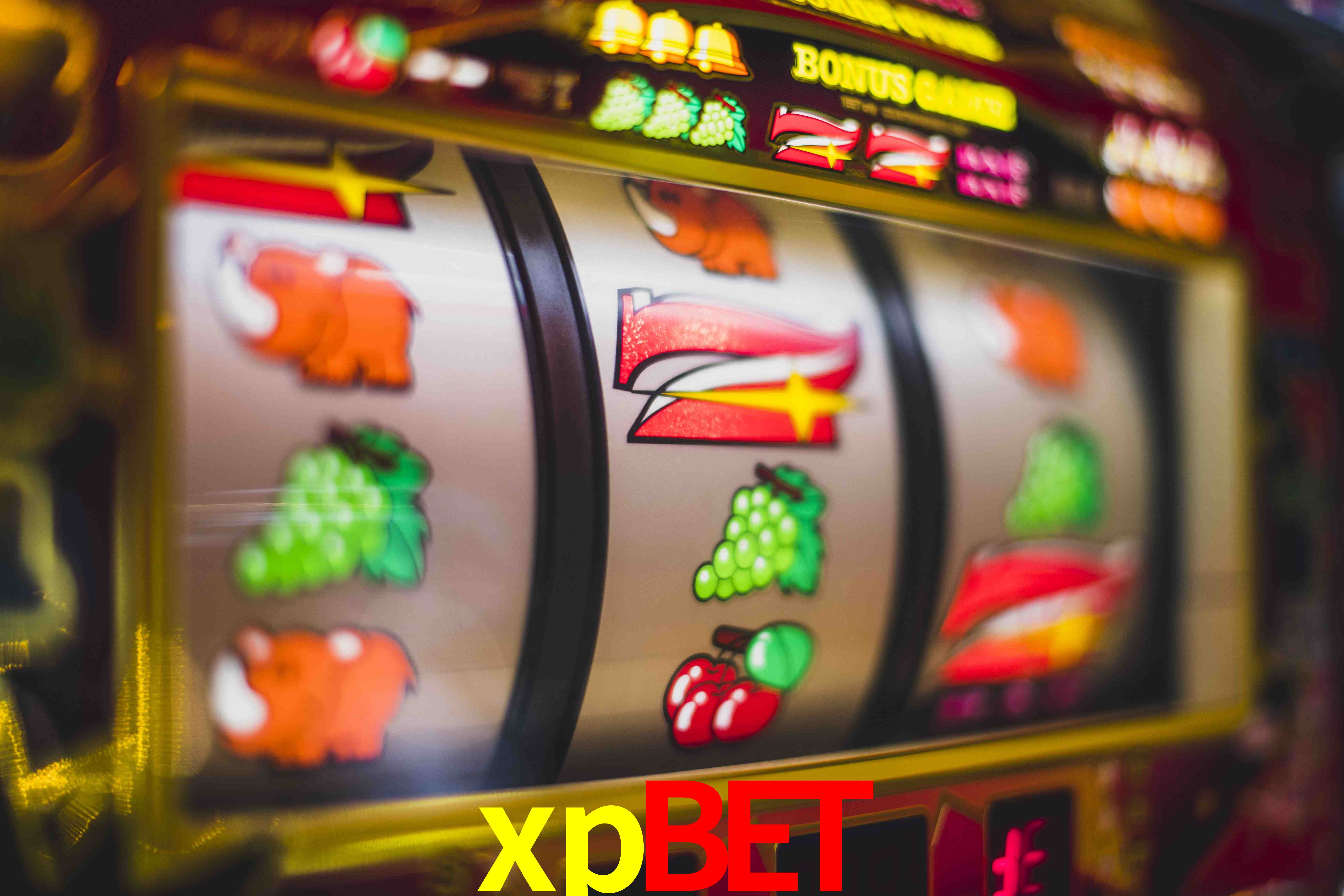 Football Betting xpbet